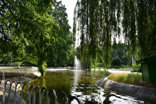 ˝˝Novi Sad, Serbia - 07 11 2023: Danube park lake on a sunny day˝˝ 