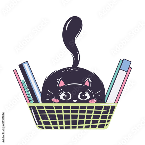 simple funny cat hid in an organizer for folders and notebooks