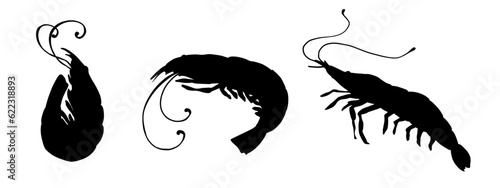 Set of silhouettes of cornflowers. Vector graphics.