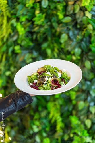 green salad on a plate