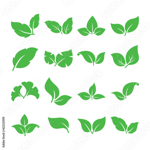 Set of leaf vector