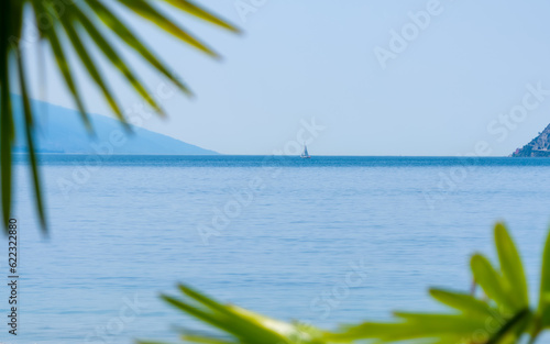 Segelboot auf dem See mit unscharfen Palmen in Vordergrund.