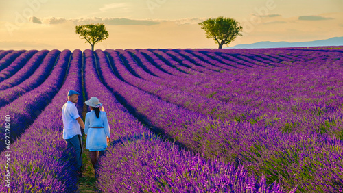 Εκτύπωση καμβά Provence, Lavender field France, Valensole Plateau, a colorful field of Lavender