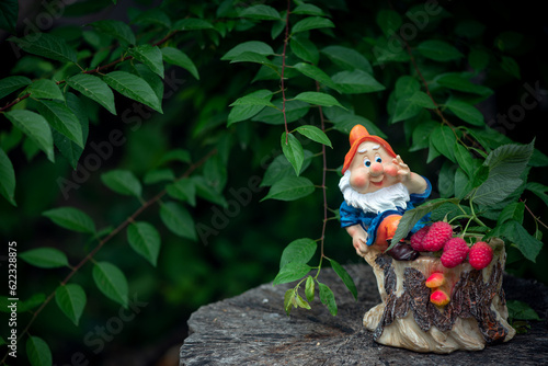There is a bright, fabulous thunder in the green foliage. The forest wizard was picking raspberries. A dwarf on a stump.