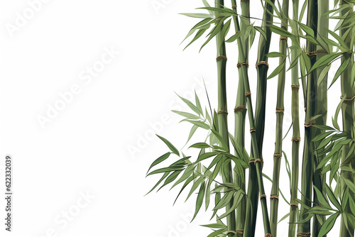 bamboo or bamboo shoots