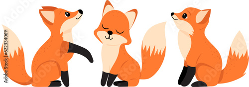 fox character on white background vector
