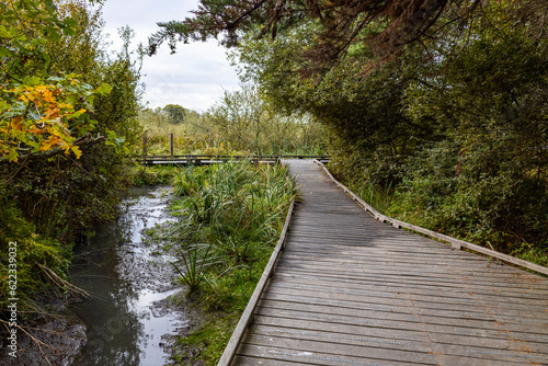 Domaine de Suscinio - Frankreich 23
