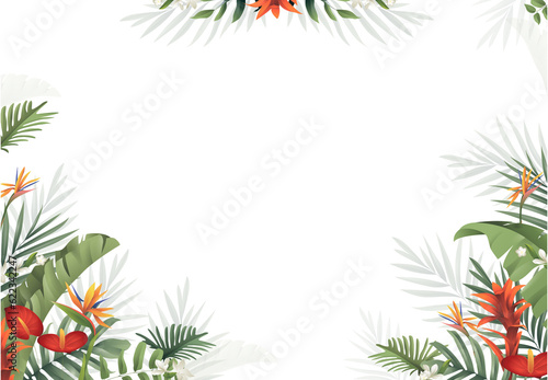 tropical summer background