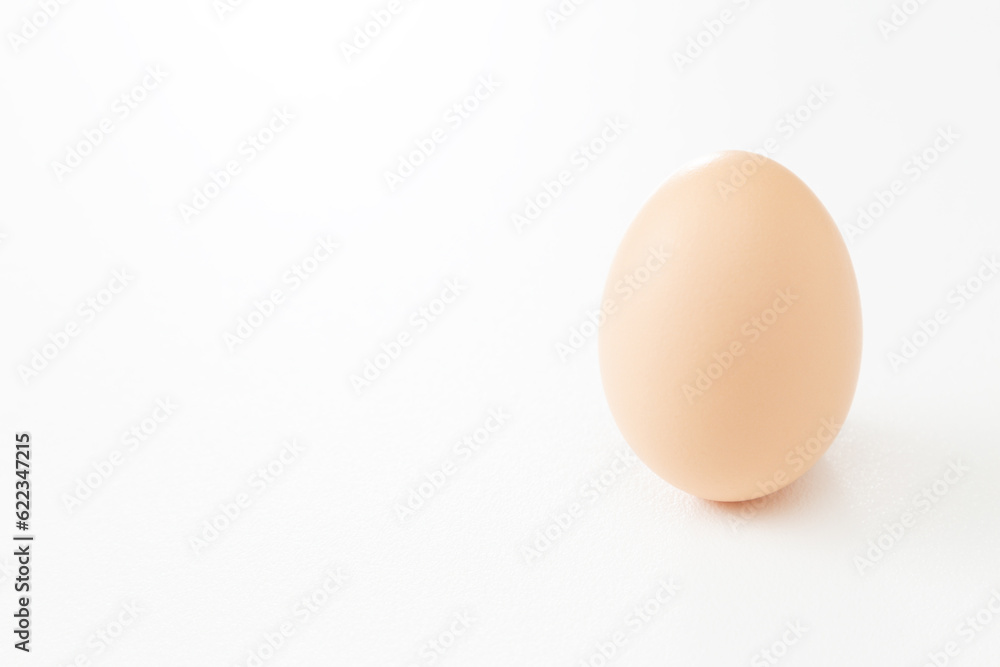 白背景に新鮮な卵