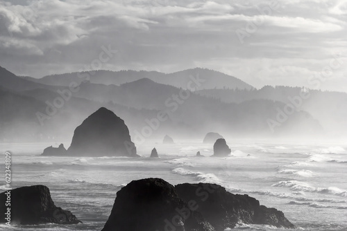 Cannon Beach along Oregon Coast on a Foggy Day Black and White Portrait