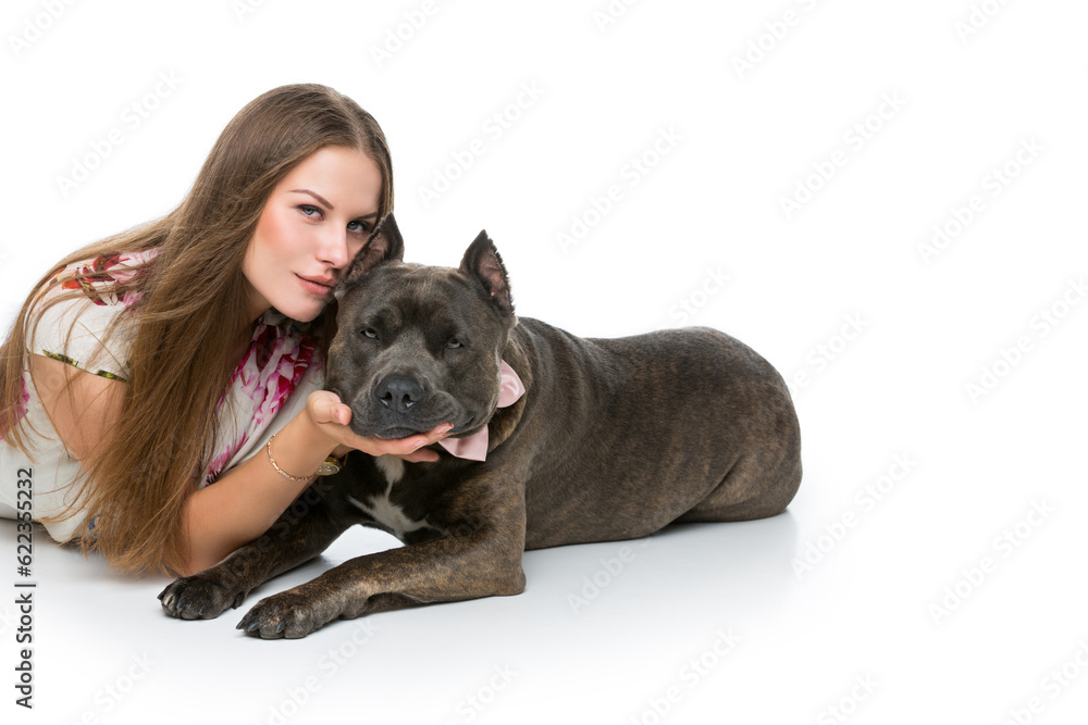 Obraz premium Beautiful elegant happy young woman in white dress hugging adult grey amstafford terrier dog with bow on neck. Isolated on white background. Copy space.