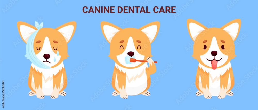 Canine dental care and hygiene banner with Corgi character. Maintaining ...