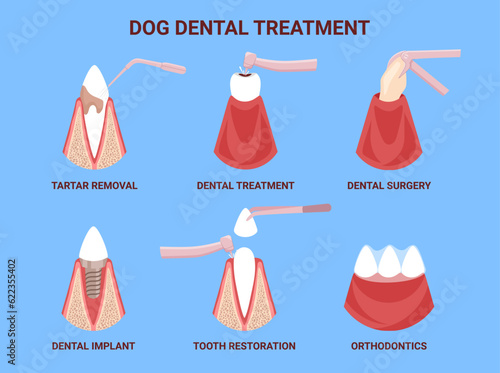 Dog dental treatment. Canine stomatology. Care and therapy teeth. Tartar, caries, implants, restoration. Tooths icons. Vector illustration set