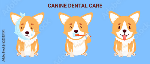 Canine dental care and hygiene banner with Corgi character. Maintaining healthy Dog teeth. Vector illustration cartoon style
