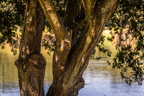 Parque da Cidade do Porto