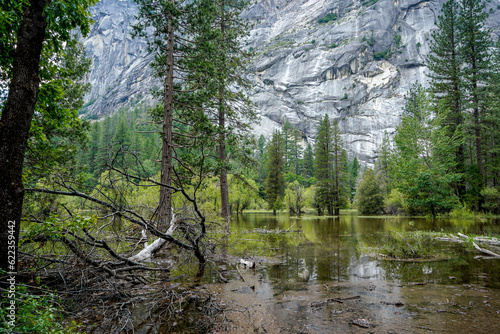 Fototapeta Naklejka Na Ścianę i Meble -  Yosemite National Park, California, USA. Area of Mirror Lake.