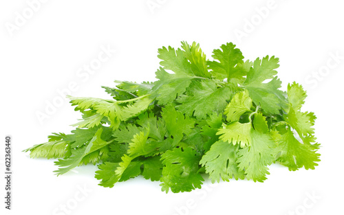 Fresh juicy organic bundle of cilantro, isolated on white background