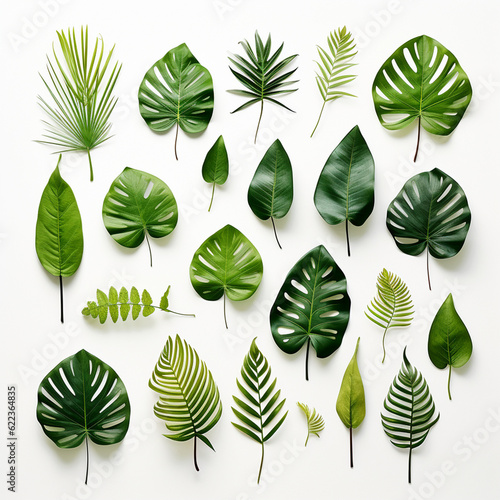 Set of tropical green leaves on white background  Generative ai