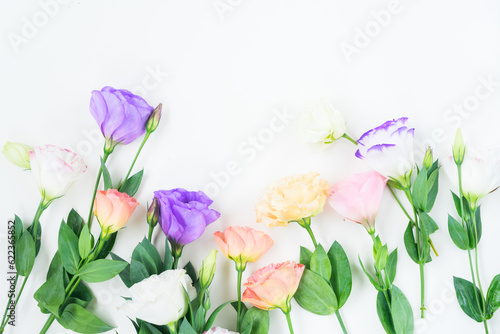 Pink, white and violet eustoma flowers border