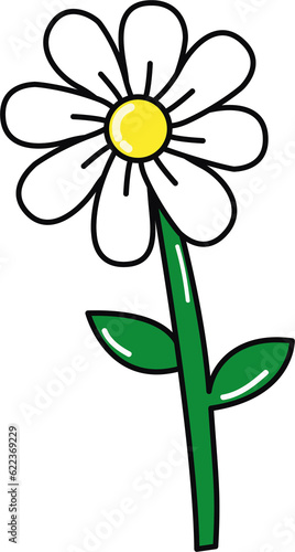 daisy flower © 김 가연