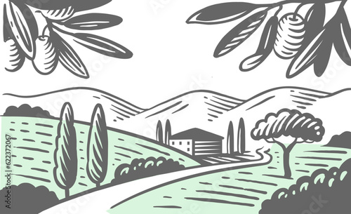 Village and olive trees vector. Nature landscape.
