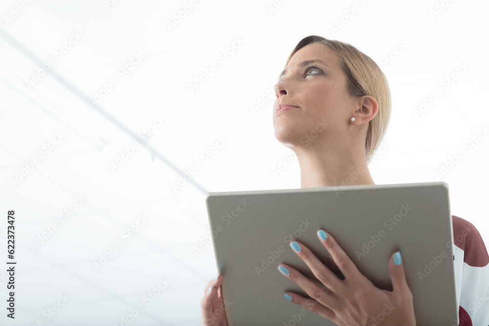 business woman in elegant dress holding a tablet in an office workplace business woman in elegant dress holding a tablet in an office workplace