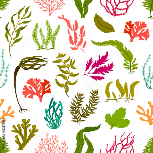 Underwater seaweed plants seamless pattern with vector corals and algae. Aquarium, sea and ocean water seaweed background. Green and red leaves of marine plants, kelp, laminaria, gracilaria, codium