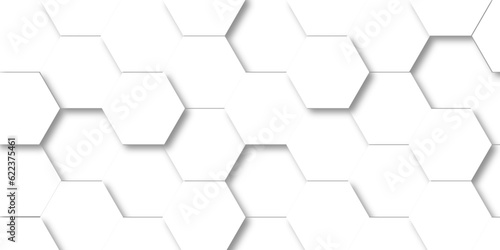 Abstract background with lines 3d Hexagonal structure futuristic white background and Embossed Hexagon , honeycomb white Background ,light and shadow ,Vector. 