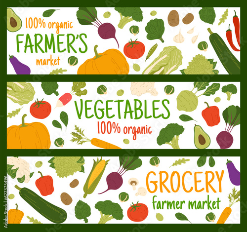 Autumn harvest raw vegetables. Vector banners with squash, spinach, champignon and bell pepper with carrot. Avocado, corn cob, potato, pumpkin and beetroot. Broccoli, eggplant, tomato and kohlrabi