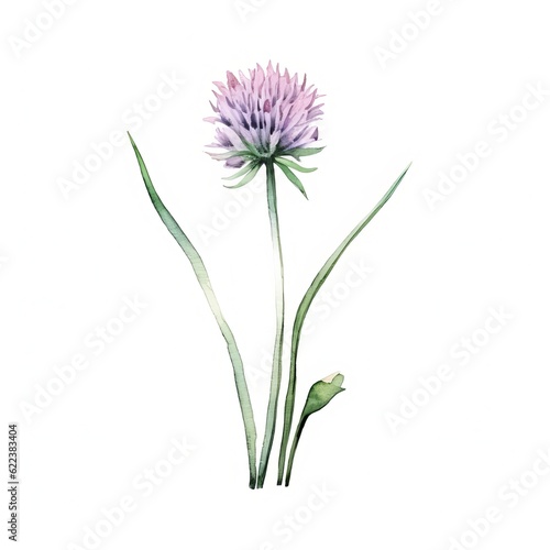 Aromatic Chives Herbs Background  Square Watercolor Illustration. Healthy Vegetarian Diet. Ai Generated Soft Colored Watercolor Illustration with Delicious Aromatic Chives Herbs.