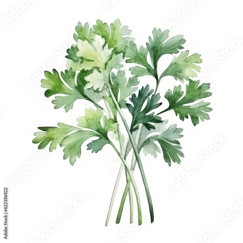 Aromatic Parsley Herbs Background  Square Watercolor Illustration. Healthy Vegetarian Diet. Ai Generated Soft Colored Watercolor Illustration with Delicious Aromatic Parsley Herbs.