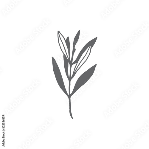 Logo element  clipart  nature  outline  tattoo  handdrawn  drawing