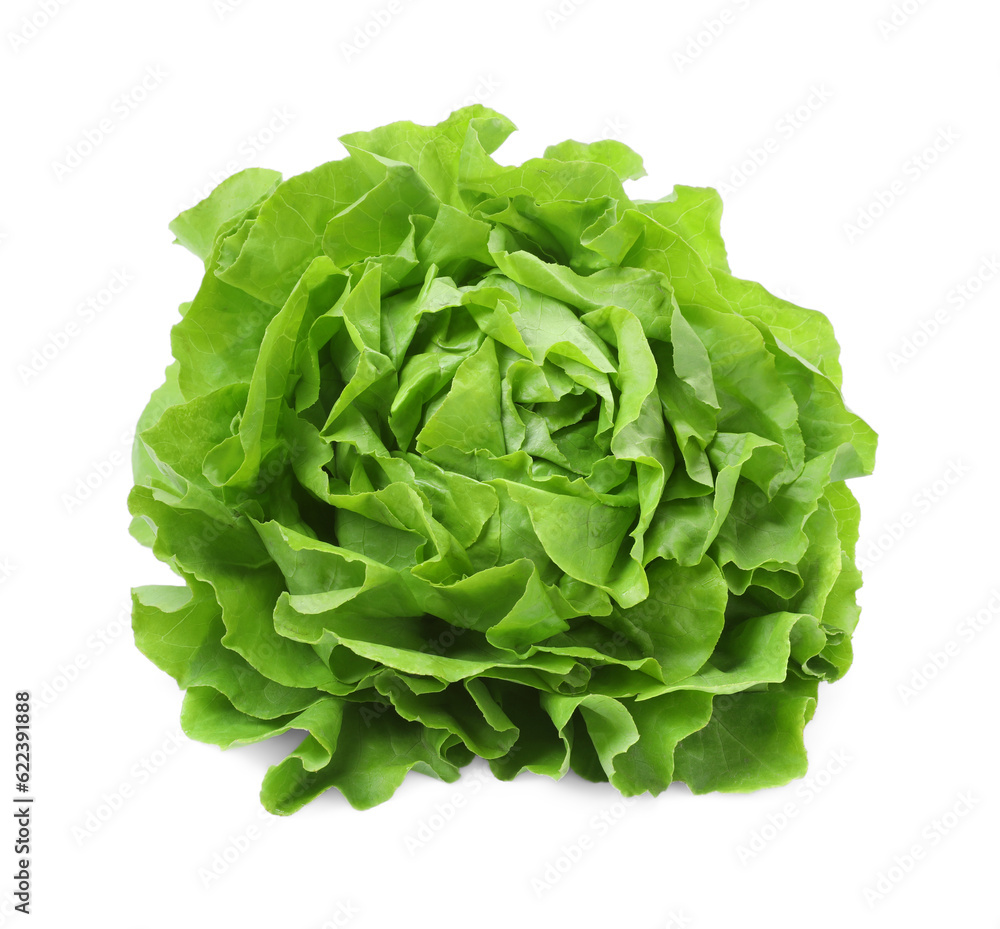Fresh green butter lettuce head isolated on white
