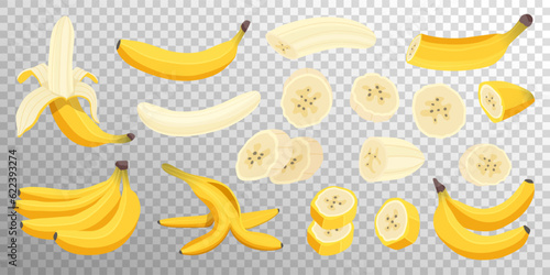 Set of fresh banana fruits isolated on transparent background. Peeled and whole bananas, banana slices and bunch of bananas. Tropical fruits, healthy nutrition menu. Vector flat cartoon illustration