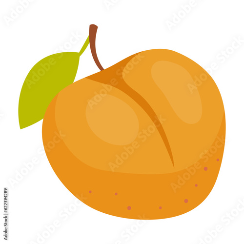 Apricot fruit in flat cartoon style. Vector illustration, isolated on white background. Farm market element, healthy nutrition menu 