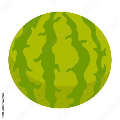 Watermelon illustration in flat cartoon style  isolated of white background. Healthy nutrition menu