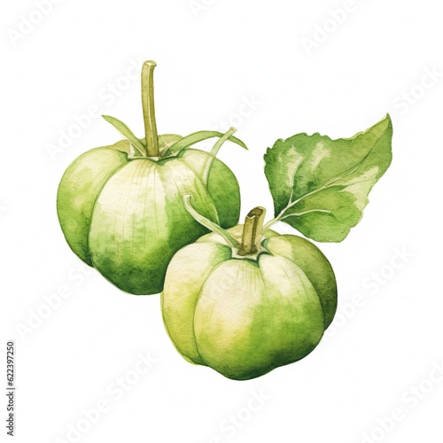 Fresh Organic Tomatillo Vegetable Background, Square Watercolor Illustration. Healthy Vegetarian Diet. Ai Generated Soft Colored Watercolor Illustration with Delicious Juicy Tomatillo Vegetable. photo