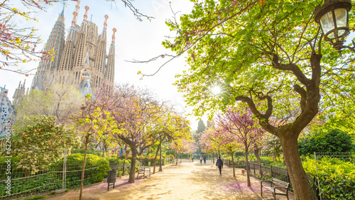 Photography Blooming spring garden in Barcelona city, Spain travel photo