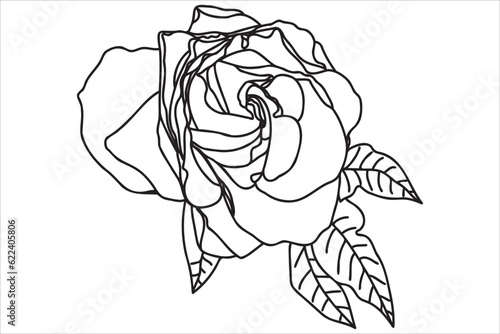 Black and white painted rose with leaves, intended for holidays, postcards, March 8, Valentine ․