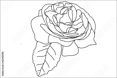 Black and white painted rose with leaves, intended for holidays, postcards, March 8, Valentine ․