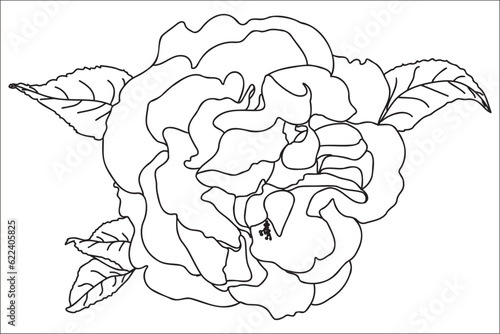 Black and white painted rose with leaves, intended for holidays, postcards, March 8, Valentine ․