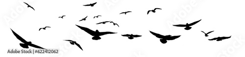png flock of birds silhouette isolated on clear background 