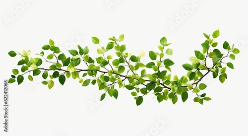Fresh green leaves branch isolated on white background. Created with Generative AI technology.