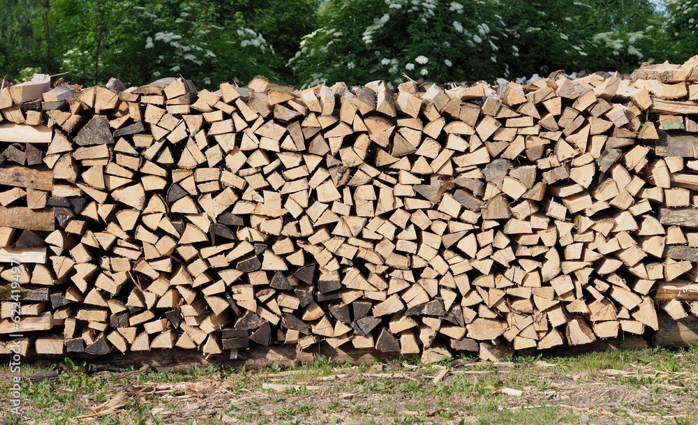 Kaminofen - Holzscheite lagern gestapelt im Wald	