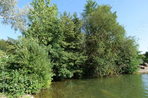 A beautiful Lake and trees