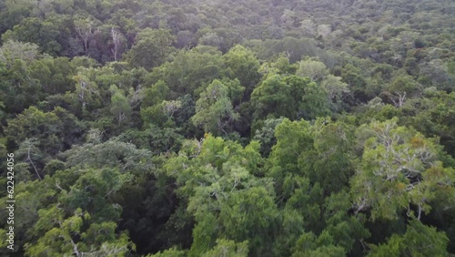 This footage was taken during a 5 Day hike in the ancient mayan jungle on the border between Mexico and Guatemala. A lot of biodiversity can be seen such as Howler- and Spidermonkeys.
