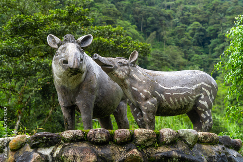 Fototapeta Naklejka Na Ścianę i Meble -  Animals of the Amazon jungle of Ecuador