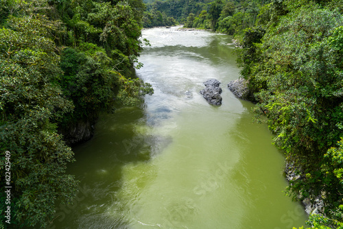 Rivers of the Amazon rainforest with green landscape