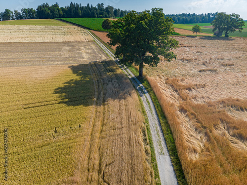 Aerial view of countryside road through fields in rural area in Switzerland.