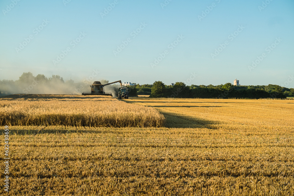 Fototapeta premium Gerstenernte mit Mähdrescher - Hannover Kronsberg